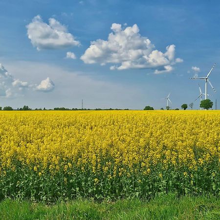 Agroturystyka Nowy Krakow Jezyce Buitenkant foto
